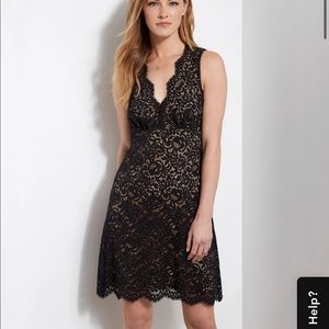 Karen Kane Milan Lace Dress size medium NWT